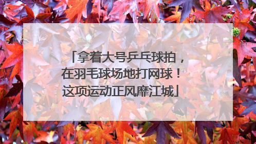 拿着大号乒乓球拍，在羽毛球场地打网球！这项运动正风靡江城